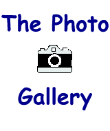 [Photo Gallery]